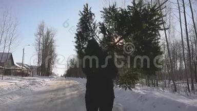 在新年和平安夜之前，人们把倒下的郁郁葱葱的树扛到了他的家。 他在雪地里走